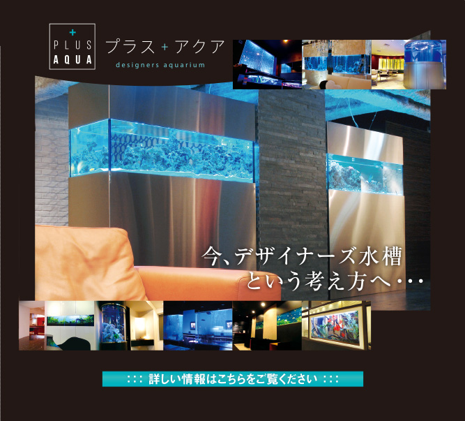 プラスアクア